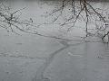 Ice patterns, Winter, Hampstead Heath P1070580